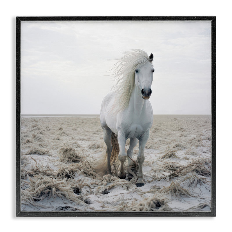 Reproduction d'art giclée encadrée par un vent de plage par Ray Powers, H 12 po x l 12 po, Giclée encadrée noir minuit