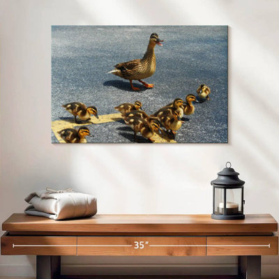 Ducklings And Mother Duck