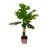 Faux Philodendron Tree in Basket-435435316