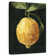 Yarlin Dark Lemon I