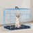 Blue est en rupture de stock