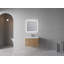 Fesser 29.5'' Single Bathroom Vanity with Resin Top-173493589