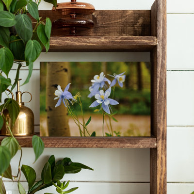 Contemporary Art Colorful Delicate Rustic Flower Forest Wall Art by Del Mundo Portraits - Wrapped Canvas Print