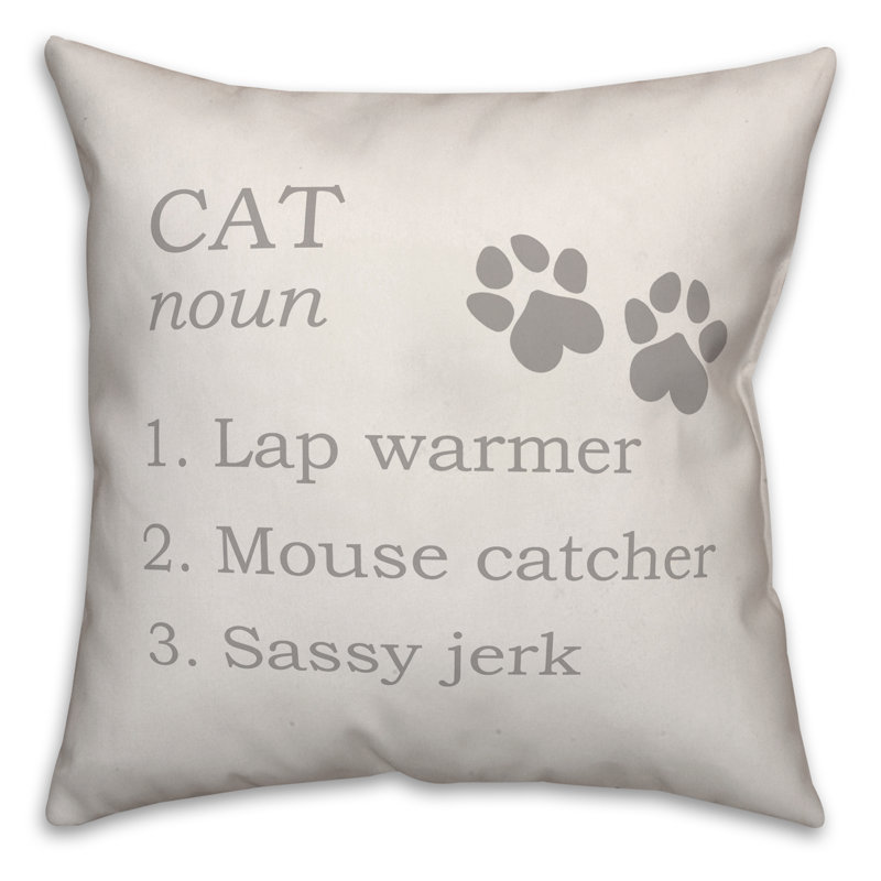 Throw Pillow
