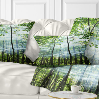 Coussin Schafer