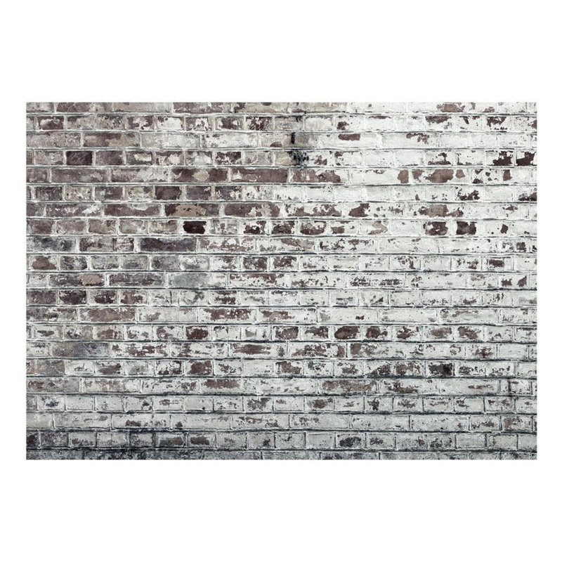 Murale Damonn Walls of Memory, Gris, L 110 po x l 157 po