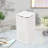 Negative Ion Tabletop Air Purifier