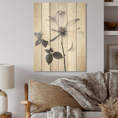 Calme noir et blanc cornouiller - cornouiller sur bois de pin naturel