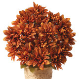 Mum Arrangement