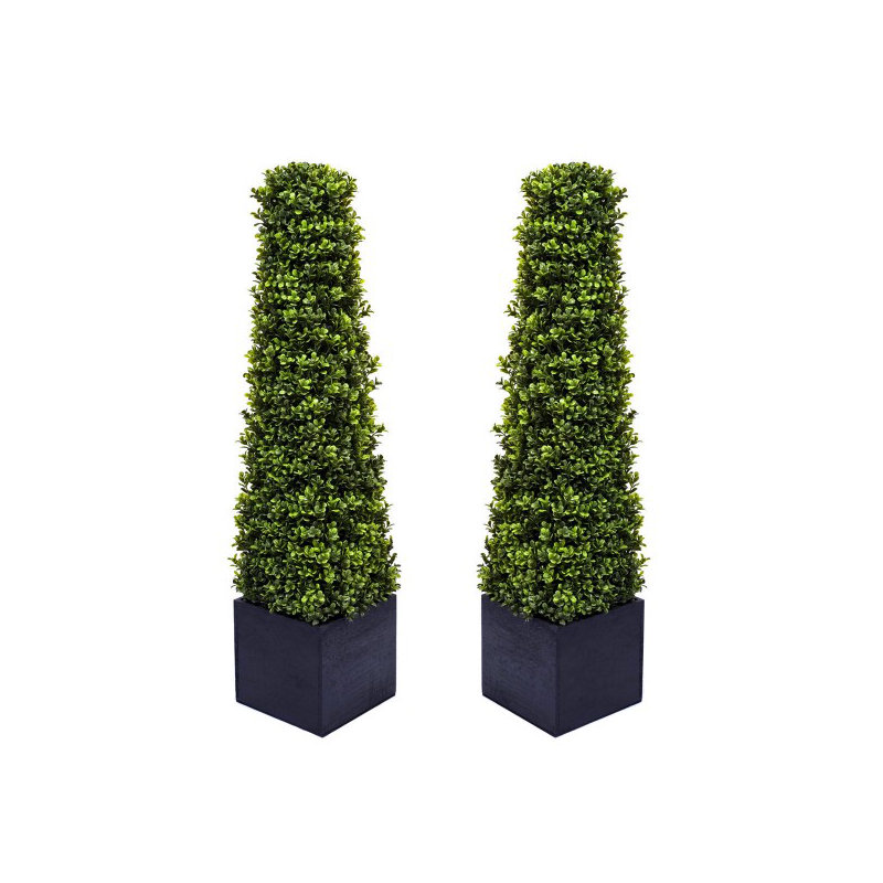 94cm Plant