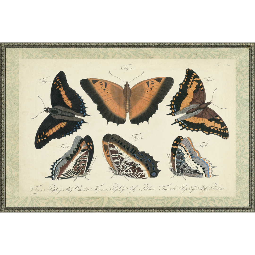 Leinwandbild Bookplate Butterflies Trio I