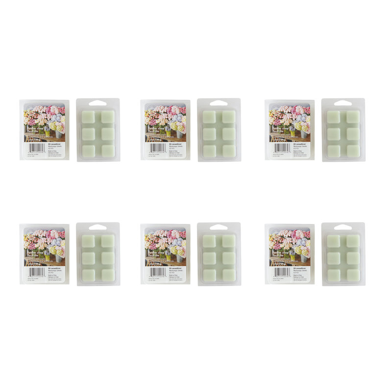 Ensemble de 6 pots de fleurs en cire parfumée Haight - ensemble de 6