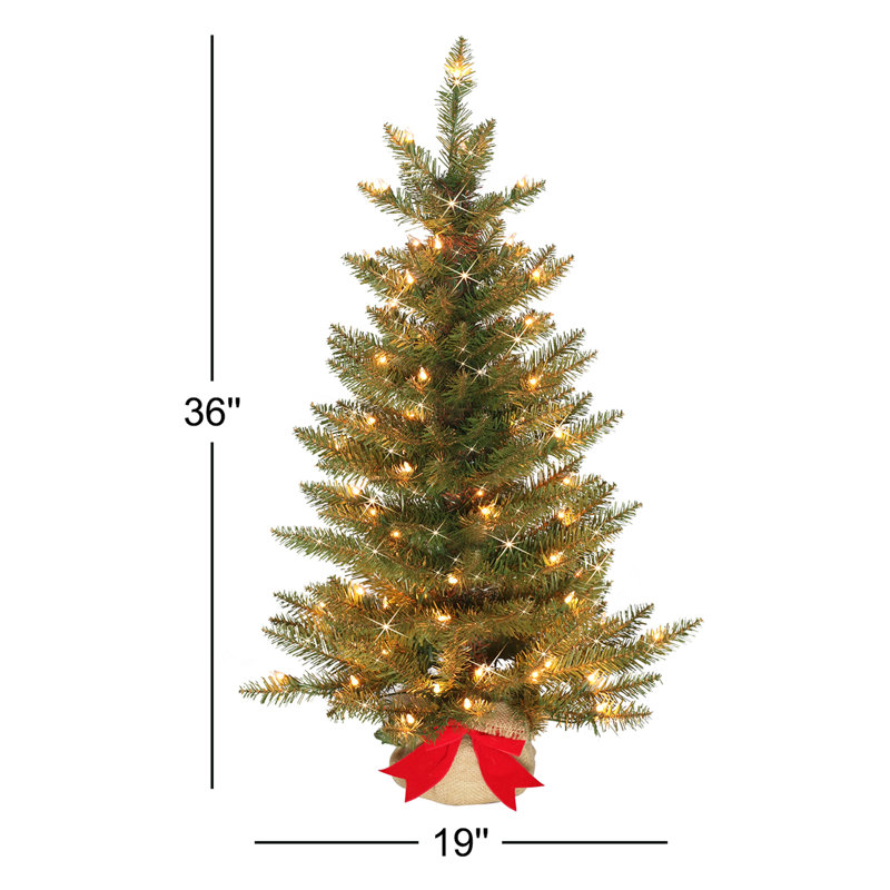 3' Lighted Fir Christmas Tree