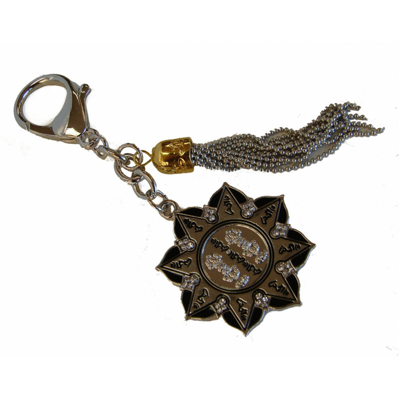 Amulette de protection annuelle avec chaîne de tortue et de serpent
