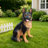 Outdoor Dog Statue