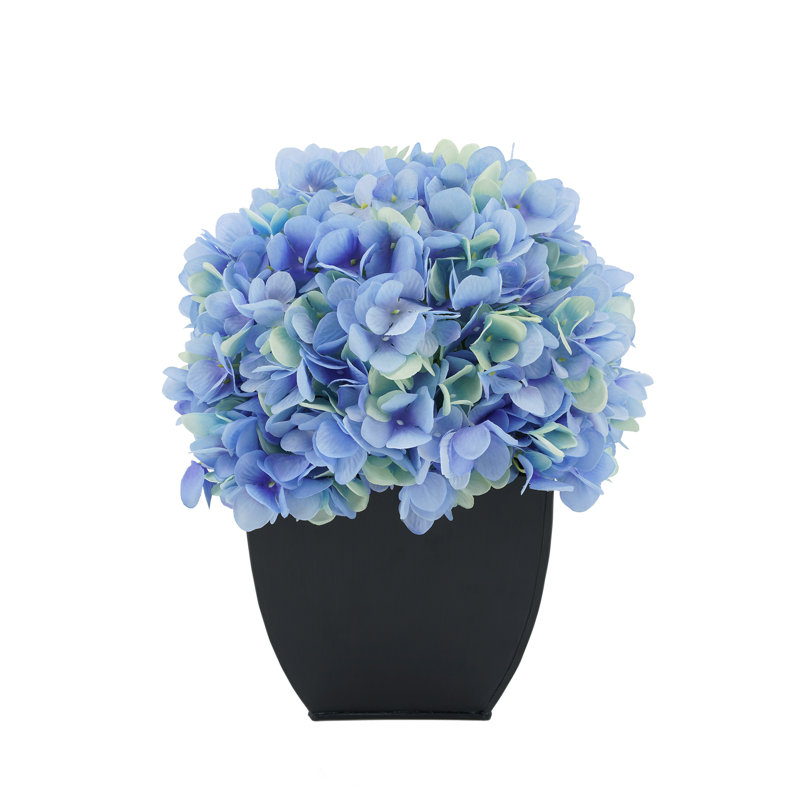 Arrangement floral hortensia en pot, Bleu
