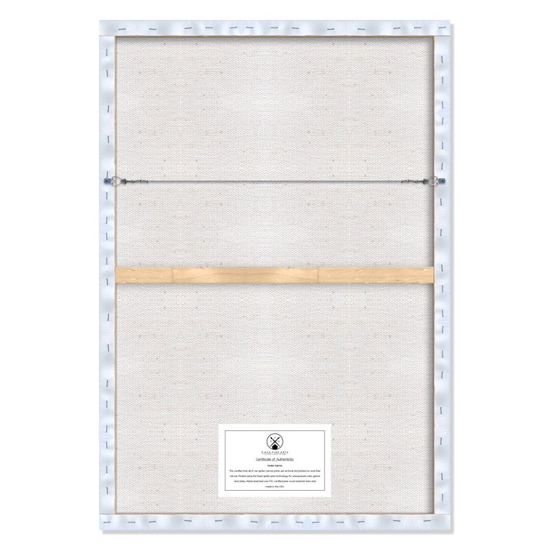 Ballet toute la journée 1, H 36,5 po x l 26,5 po x P 0,63 po, Toile