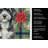 Portuguese Water Dog Christmas PoinsettIas Kitchen Towel-2080583711