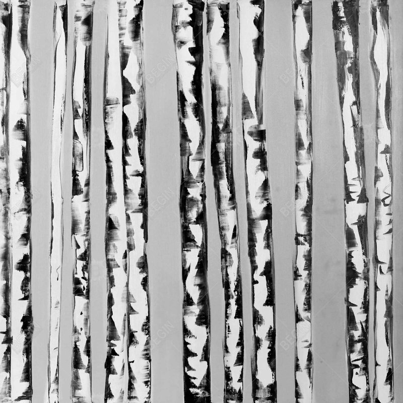 " Birches Black And White "