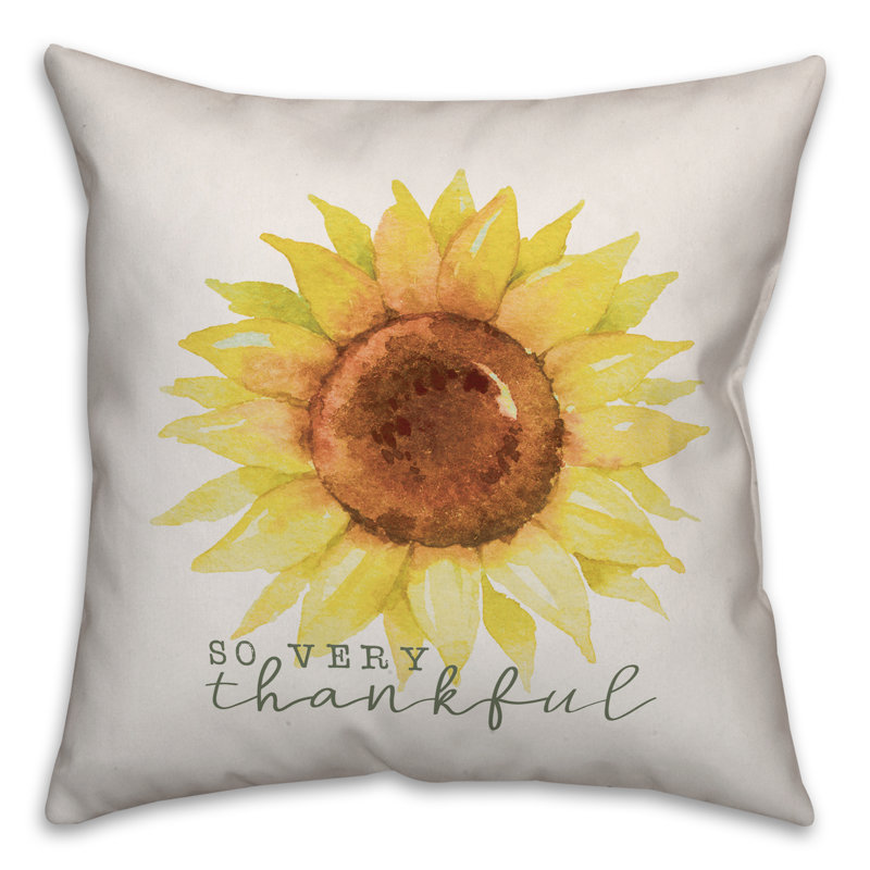  Housse de coussin so so Thankful, 16 po x 1 po