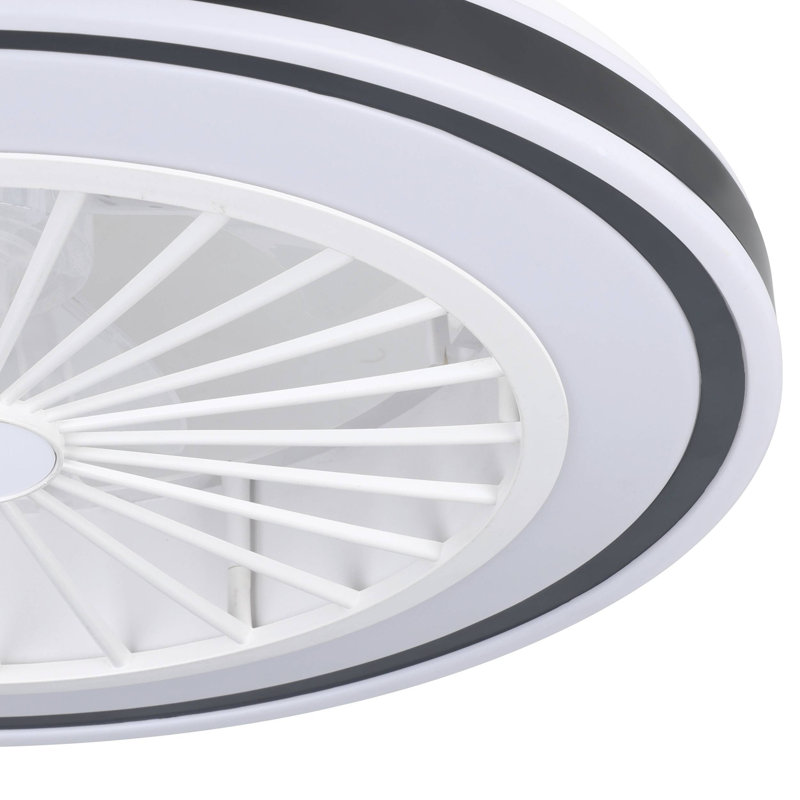 Hera Ceiling Fan with LED Lights