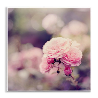 «Rose Garden Ranunculus», art mural sur bois par Sarah Gardner
