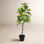29'' Faux Orange Tree in Pot