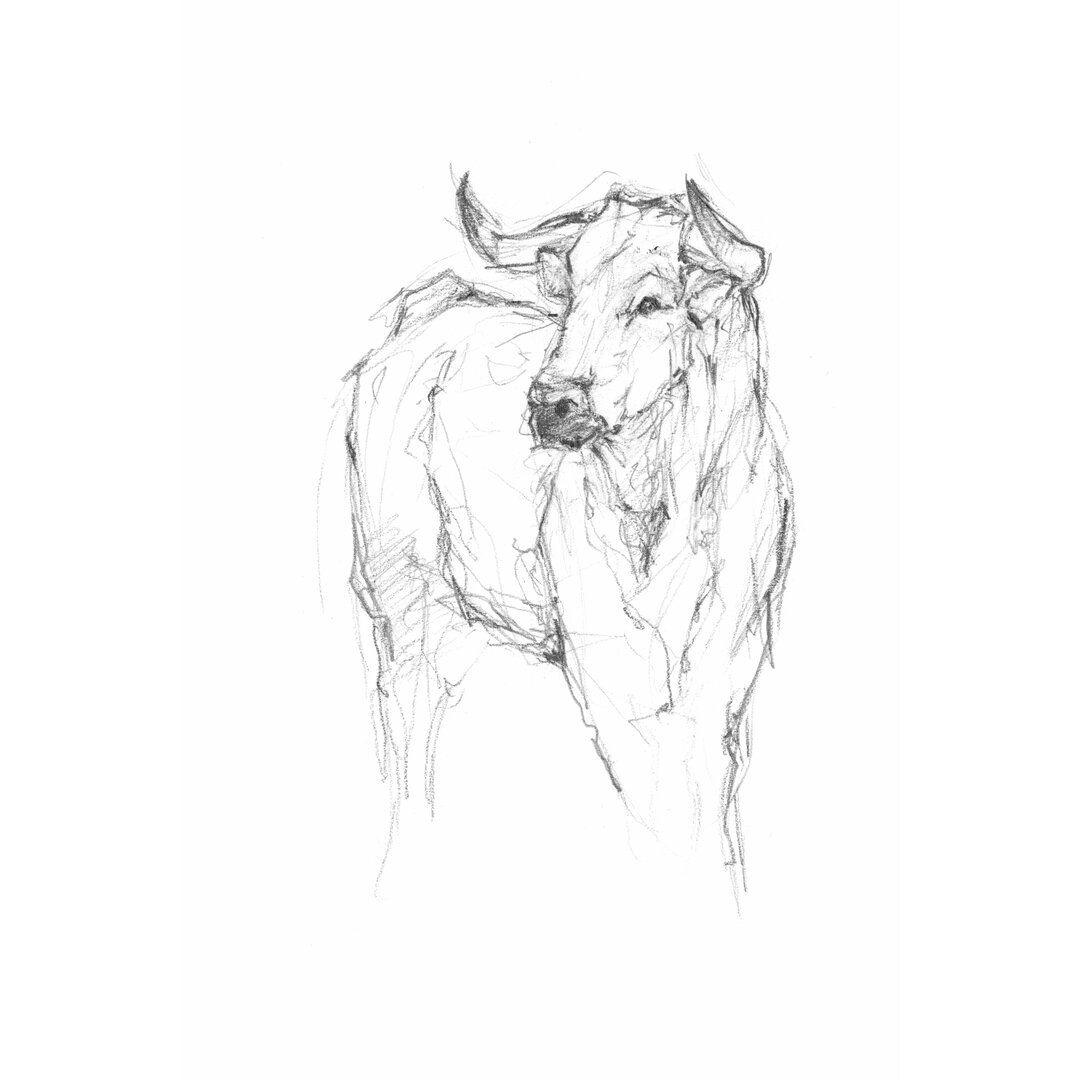 Leinwandbild Bull Study I von Ethan Harper