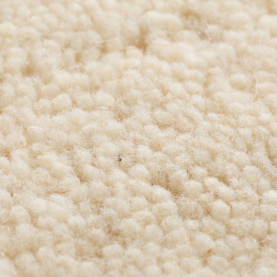 Maarten Wool Hand Knotted Area Rug