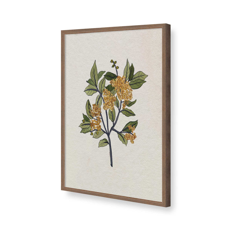 «Leaf & Light I» par Melissa Wang, reproduction d'art, H 30 po x l 20 po, Impression sur cadre ouvert sans papier mat, Brun