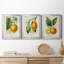 «French Lemon I», ensemble de 3 peintures sur toile encadrées-1674844645-1674844641
