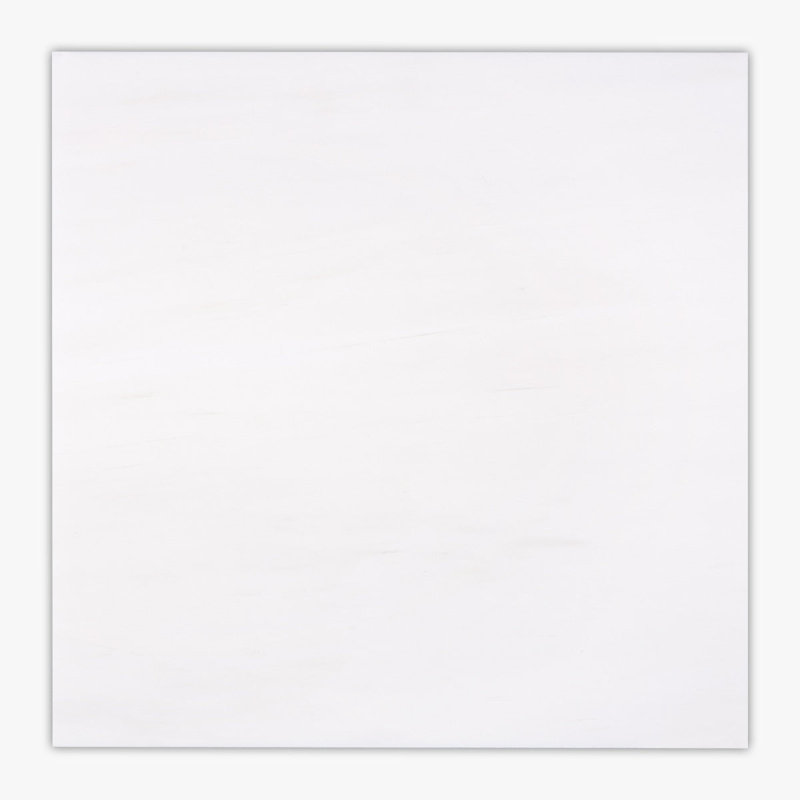 Carreau de marbre et poli à la dolomite Bianco 24 po x 24 po Bianco