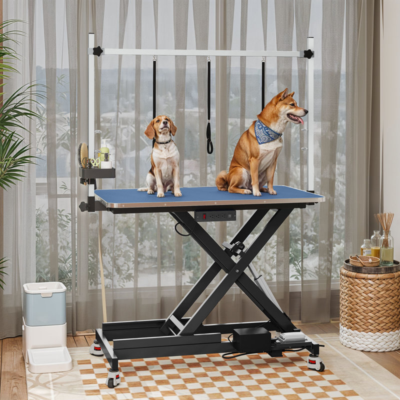 Table de toilettage électrique réglable avec rangement et plateau antidérapant pour les professionnels des animaux de compagnie