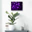 «Cyber Grapesh» par la NASA Space Photos-101610202