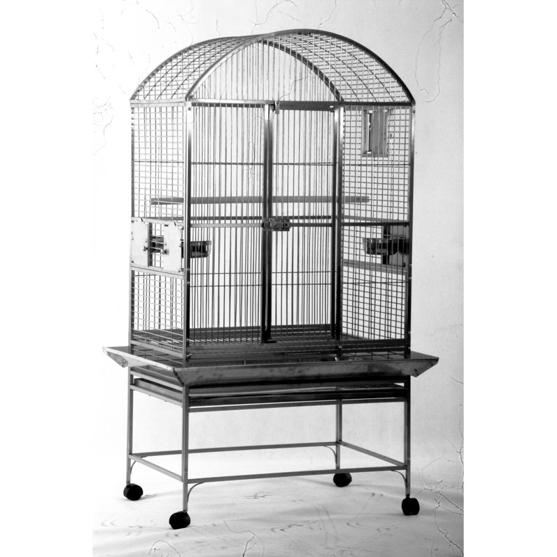Grande cage supérieure en dôme, acier inoxydable par A&E