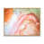 Toile avec cadre flottant brun