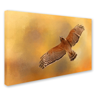 Vidur 'Raptors Afternoon Flight' Graphic Art Print on Wrapped Canvas