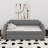 Twin Size Upholstered Daybed With Trundle-841700407