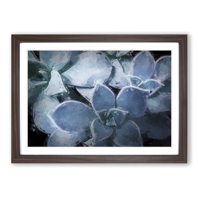 Pale Purple Succulent Plant in Abstract - Picture Frame Graphic Art Print, 48cm H x 65cm W x 2cm D, Walnut Framed