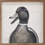 Canard colvert par Robin Sue Studio-2100453983