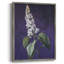 Reproduction encadrée FLORAL Series CCXLI - bois massif-713247899