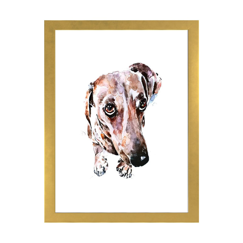 Teckel soulful Eyes par Edwatercolours-impression, H 24 po x l 16 po x P 1 po, Papier encadré doré, Blanc