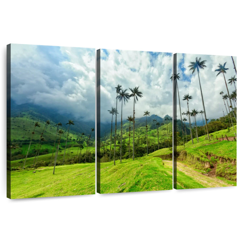 Alvord Cocora Valley, H 48 po x l 74 po