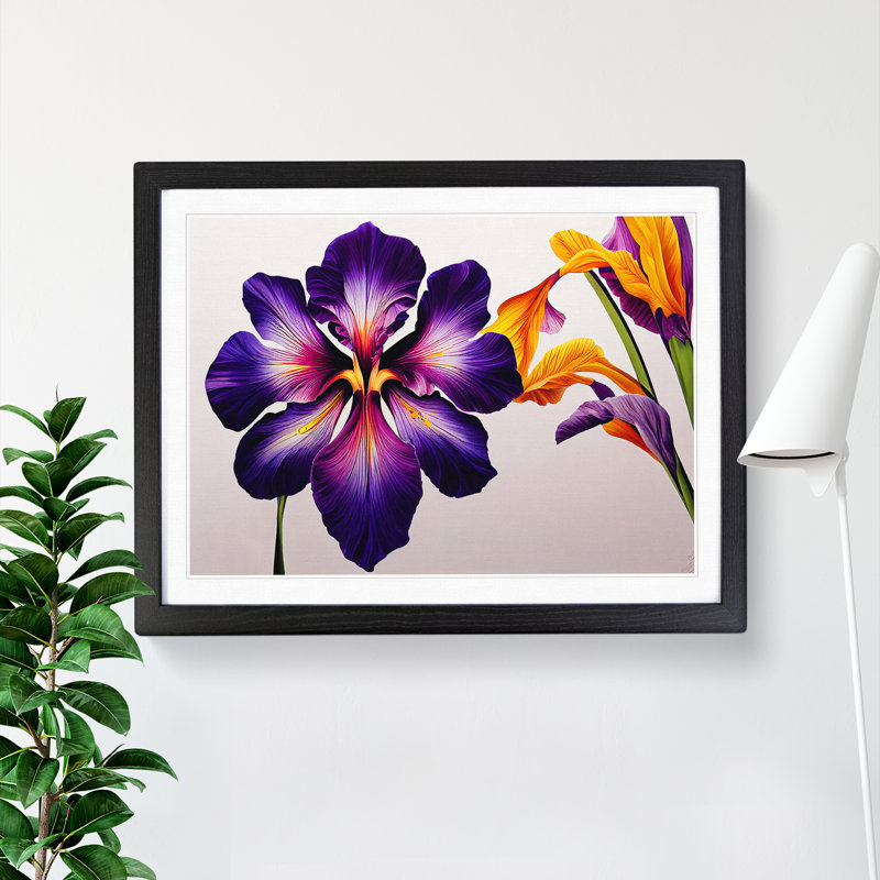 Brilliant Iris Flowers - Single Picture Frame Print, Black Framed, 46cm H x 64cm W x 2cm D