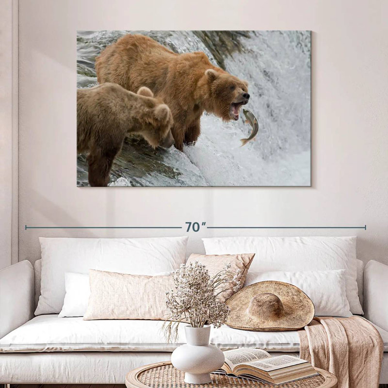 Ours bruns grizzlis chassant des poissons, H 32 po x l 48 po