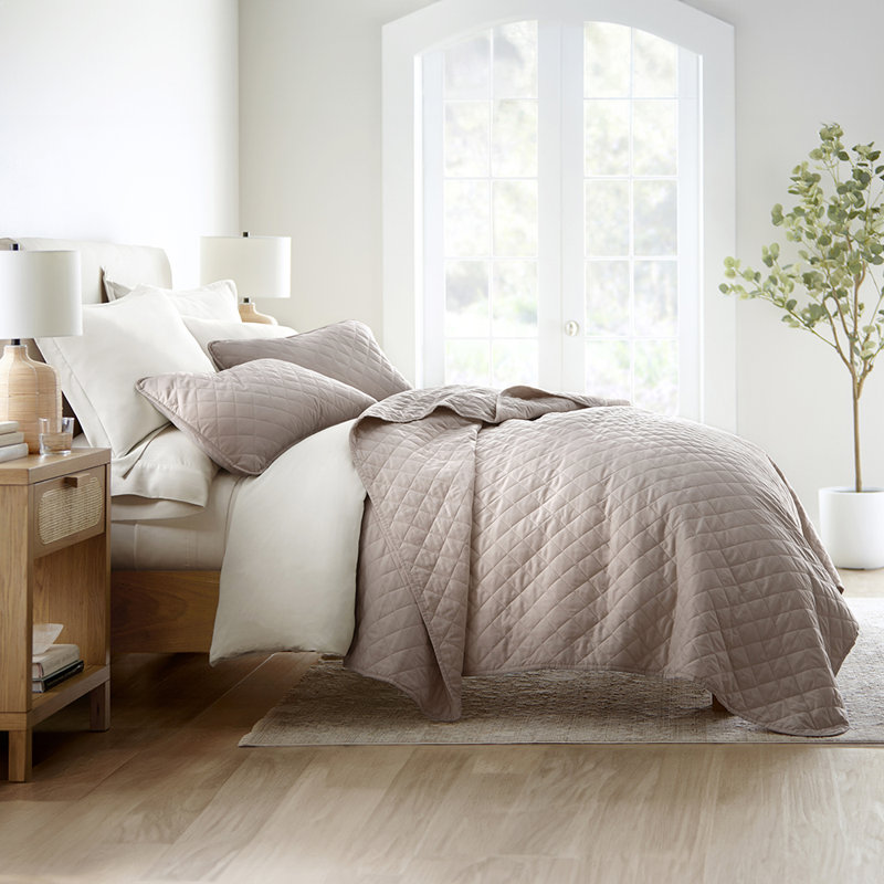Ensemble de courtepointe Becky Cameron, Café au lait, Courtepointe pour lit simple + 1 taie décorative 