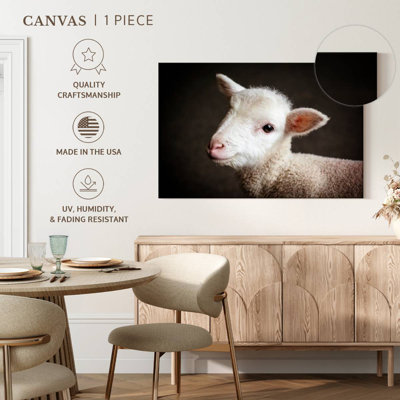 Brampt Baby Sheep