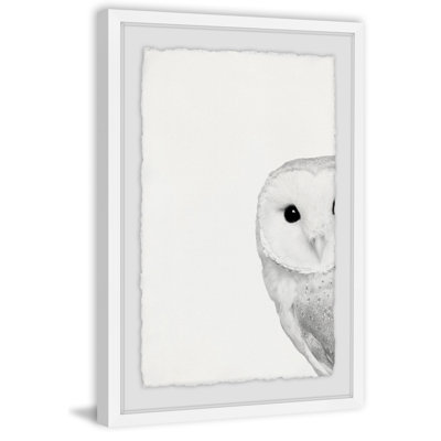 Hidden Owl - Drawing