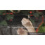 Original MantleClips™ Stocking Holder-40588324