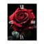 Horloge murale florale rouge et noire Elegance I-99632108